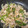 あっつあっつん's cooksnap of when they made 豚とたまねぎとピーマンの甘辛炒め.