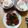 よちりん's cooksnap of when they made お弁当に＊ミニトマトとピーマン塩昆布炒め.