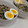 ゆ→ちむ❦180SX's cooksnap of when they made とろ〜り熱々！ひき肉と青梗菜のあんかけ丼.