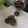nania's cooksnap of when they made チョコディアマンクッキー.
