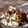 いちごさん's cooksnap of when they made 失敗なし！袋で作る簡単湯煎ぷりん.