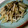 ﾋﾟｮﾝｺ's cooksnap of when they made エコで超簡単！美味しい大根の皮&塩こんぶ.