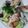 ちか♬'s cooksnap of when they made ✽ハーブチキンとひじきとお豆のサラダ✽.