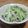 母ちゃん☆'s cooksnap of when they made ねぎと大根とザーサイのサラダ♪.