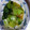 まな_mana's cooksnap of when they made 青梗菜のからし和え.