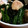 羽尼うに's cooksnap of when they made ささみとほうれん草、えのきのゆず胡椒ぽん.