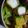 ＭＯＭＯパンダ's cooksnap of when they made ＊お弁当＊ブロッコリーの茎とベーコン炒め.