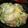 しゅんなつき's cooksnap of when they made ✤チキンのクレイジーソルト蒸し✤.