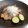 ｂａｎａｎａ２号's cooksnap of when they made 鶏ももグリル.