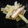 はるるるる♪'s cooksnap of when they made 大根の皮の漬け物.