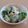 もんしゅしゅ's cooksnap of when they made きゅうりとツナの味噌マヨハニー♥.