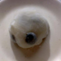 みゆき＃2's cooksnap of when they made おもちと黒豆があったら♪.
