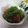 miyuki12's cooksnap of when they made さっぱりトマト納豆.