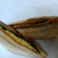 みるくもか。's cooksnap of when they made 耳までおいしい☆玉子ほっとサンド。.