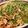 らいおんくんとわんこ's cooksnap of when they made アジの開きで作るトマトパスタ。.