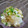 ｇａｂｉｂｉ's cooksnap of when they made 簡単おつまみ♪大根と油あげの炒め煮.