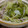 kumipon52's cooksnap of when they made とにかく簡単！！白菜と豚バラの土鍋蒸し.