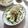 ハチワレねこ's cooksnap of when they made きゅうりと長芋のとろろ昆布和え.