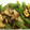 maurine's cooksnap of when they made セロリときのこのみそ炒め.