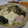マッハママ's cooksnap of when they made 鱈と豆腐の蒸し物.