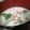 maruru-nn's cooksnap of when they made ベビーホタテとブロッコリーのクリーム煮.