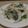 Ｄkichi's cooksnap of when they made ほうれん草とたまねぎのサラダ♪.
