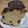 seiuchi's cooksnap of when they made おばあちゃんの黒豆でパウンドケーキ.