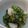 ポメリー's cooksnap of when they made たこときゅうりのお酢の物.