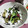 ＴＯＭＯＷＡＴ's cooksnap of when they made サツマイモとブロッコリーとひじきの和え物.