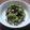 ☆yuzuchan☆'s cooksnap of when they made 春菊の卵味噌和え.
