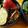 Cookingmam's cooksnap of when they made 松前漬け.