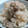 cafe-cafe's cooksnap of when they made ふっくら牡蠣ごはん.