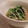 アロエリーナ's cooksnap of when they made 水菜とエノキの簡単煮びたし.