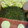 ∞夕夏梨∞'s cooksnap of when they made ｷｬﾗ弁　　簡単後ろ向きﾐｯｷｰ.