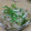 ☆chiemi♪★'s cooksnap of when they made 簡単･節約副菜♪えのきのからし酢醤油あえ.