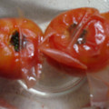 mittan51's cooksnap of when they made 冷凍完熟トマト.