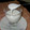 ijumama's cooksnap of when they made ヨーグルト菌を繁殖させよう♪.