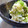 いずみるく's cooksnap of when they made キャベツの中華風白和え.