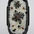 hirotofumi's cooksnap of when they made 【簡単】お弁当に海苔の飾り切り♪.