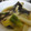 でびさや's cooksnap of when they made 簡単☆カレイの煮付け.