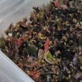 あすかひろとのママ's cooksnap of when they made 人参葉っぱとおじゃこの満点ふりかけ.