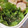 紅葉ｙ's cooksnap of when they made いんげんの即席ごま和え.