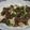 亀と空's cooksnap of when they made 決め手は【わさび】牛肉と豆腐の甘辛炒め.