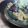 kobari's cooksnap of when they made なすと鶏肉のさっぱりこってり煮.