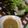 みーままこ's cooksnap of when they made 我が家の酢味噌.