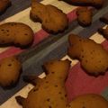 ヨピカフェ's cooksnap of when they made 袋ひとつで！ハニージンジャー・クッキー.