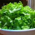 ゆうこりんたかみ's cooksnap of when they made 野菜の水切り方法.