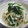 ponkey's cooksnap of when they made 安い！！簡単！！にらともやしのごまあえ♪.