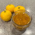 ばにらびーん's cooksnap of when they made 手作り柚子こしょうの作り方 塩辛くない！.