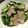 ふっち's cooksnap of when they made オクラとベーコンの炒め物.